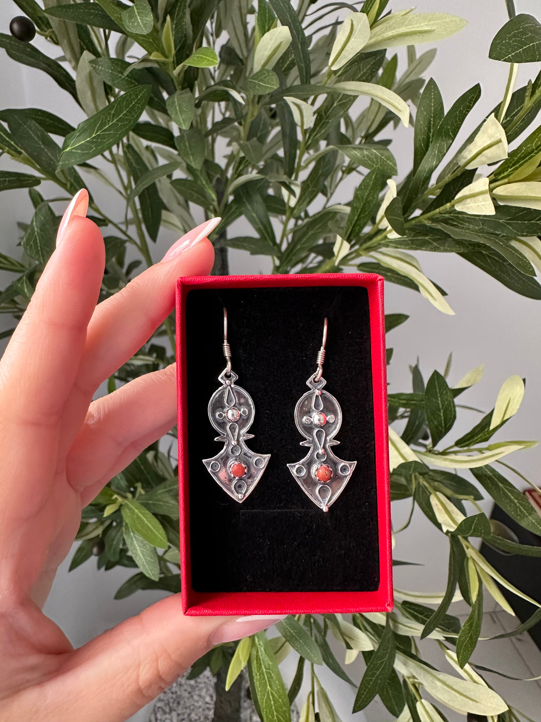 Boucles Tergui