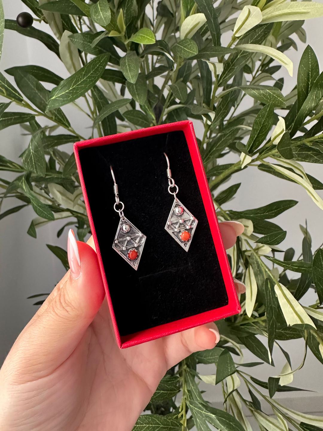 Boucles Tergui